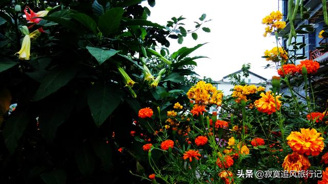 双廊古镇景点介绍，大理双廊民宿（在大理古城和双廊古镇）