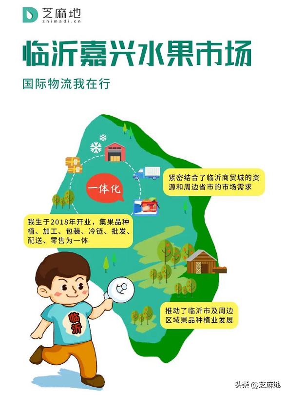 下桥水果批发市场，龙眼或者桂圆肉的产地在哪里（这10个市场表示不服）