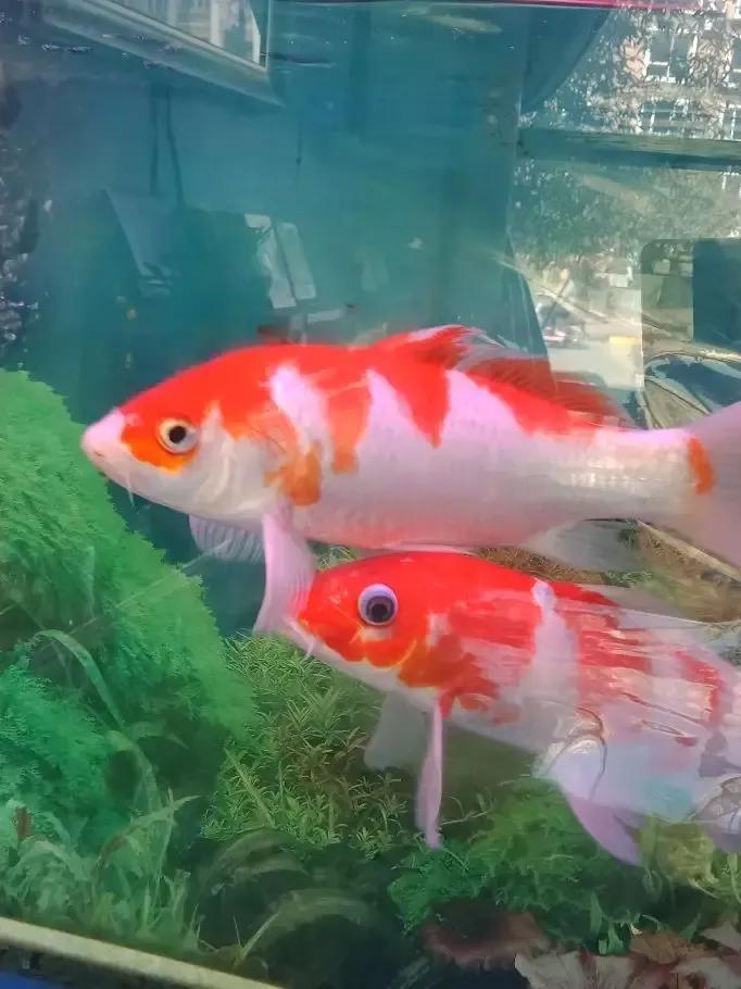 梦见考试没通过（梦到考试时）