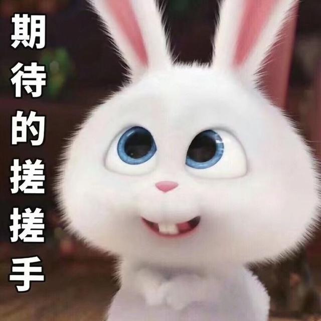 考研查询成绩图片，研究生成绩查询图片（大家都是什么心情）