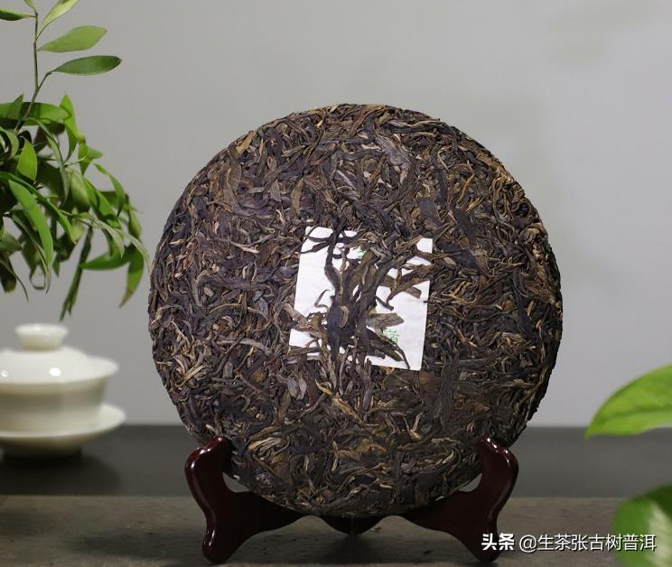 南糯山古树茶特点有哪些?口感如何?