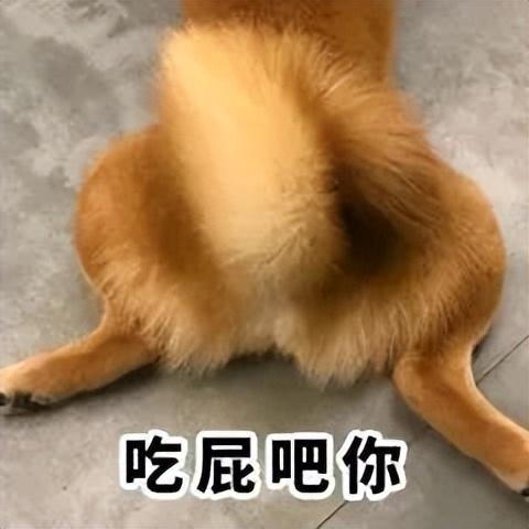 最近很火的表情包(网上超火的表情包)