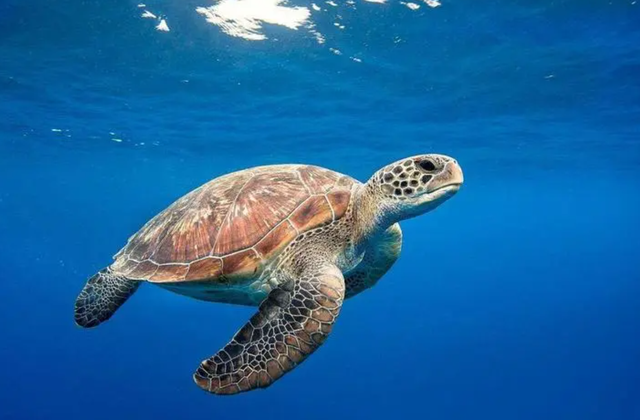 2021年天气为什么这么热，2021年天气为什么这么热最新研究（科学家：这可能只是起点而已）