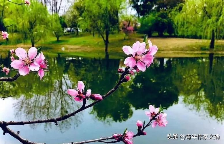 爱屋及乌反义词(爱屋及乌相反的句子)