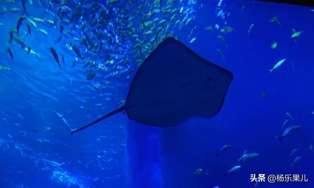 南宁旅游景点最值得去六个景点，南宁景点介绍 南宁旅游景点（超级推荐这5个打卡点）