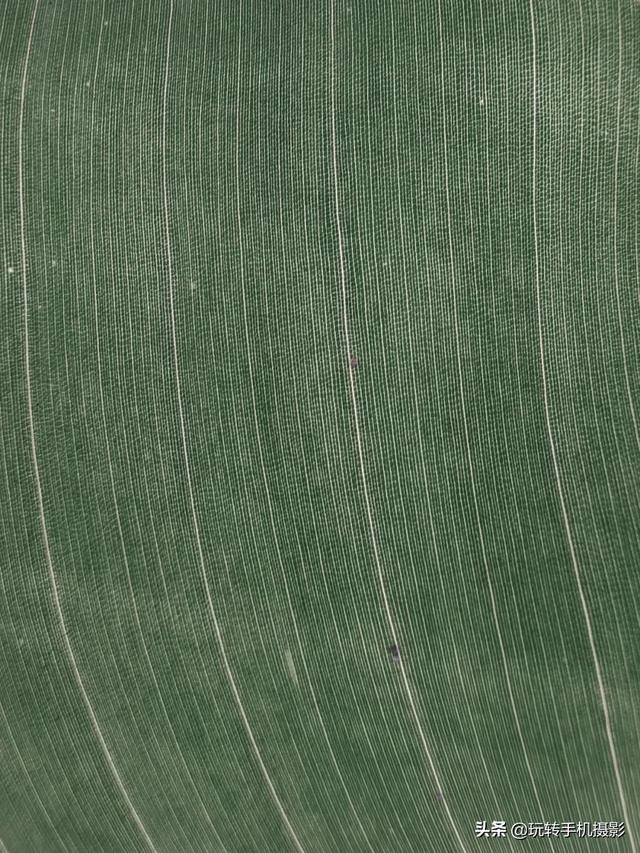 什么情况下拍照用HDR模式，拍照中的hdr是什么模式（你想不到的公园拍照技巧）