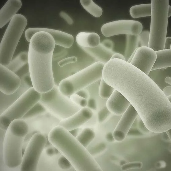 关于硝化作用介绍，硝化作用是什么（硝化作用的多种类型）