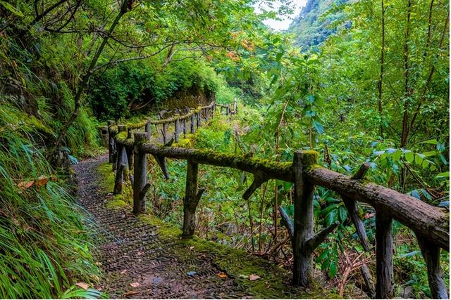 神农架旅游攻略，神农架旅游攻略自驾游（湖北神农架六大景点）