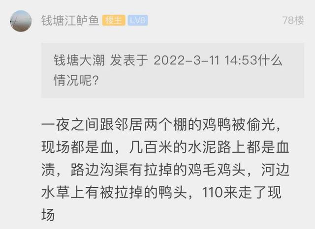 穷凶极恶是什么生肖，穷凶极恶是什么生肖动物（一夜之间，家里的鸡鸭被偷光）