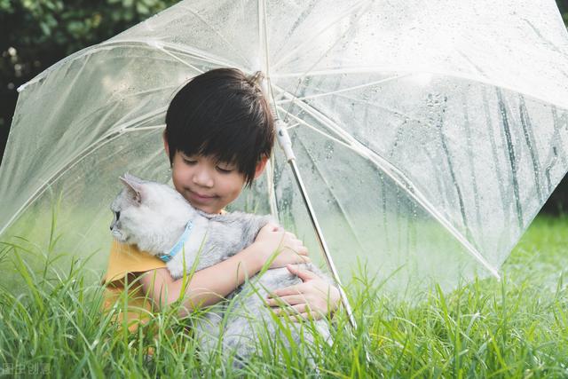 儿子打爸爸是什么行为，爸爸打儿子正常吗（一言不合就动手）