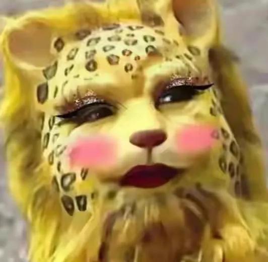 金钱豹头像图片，金钱豹头像✨微信（最全金钱豹头像！请叫我谢谢）