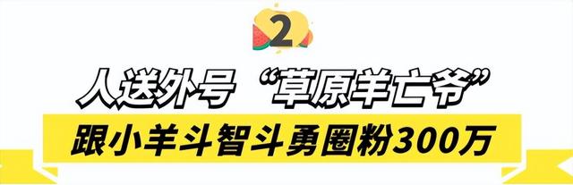 彪悍的蒙古汉子，蒙古人、维京人、萨摩亚人——哪个最强悍（202公里配送费584元）