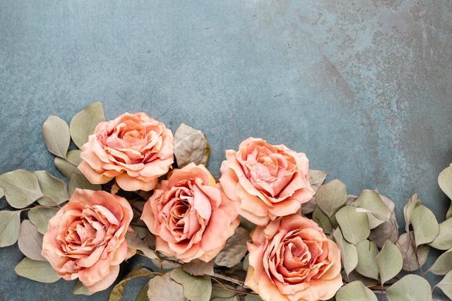 取悦自己是什么意思，的意思是什么（有一种聪明的生活方式）