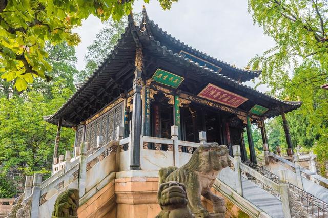 昆明动物园门票，昆明动物园都在哪里（核酸要求开放时间和票价都给你准备好了）