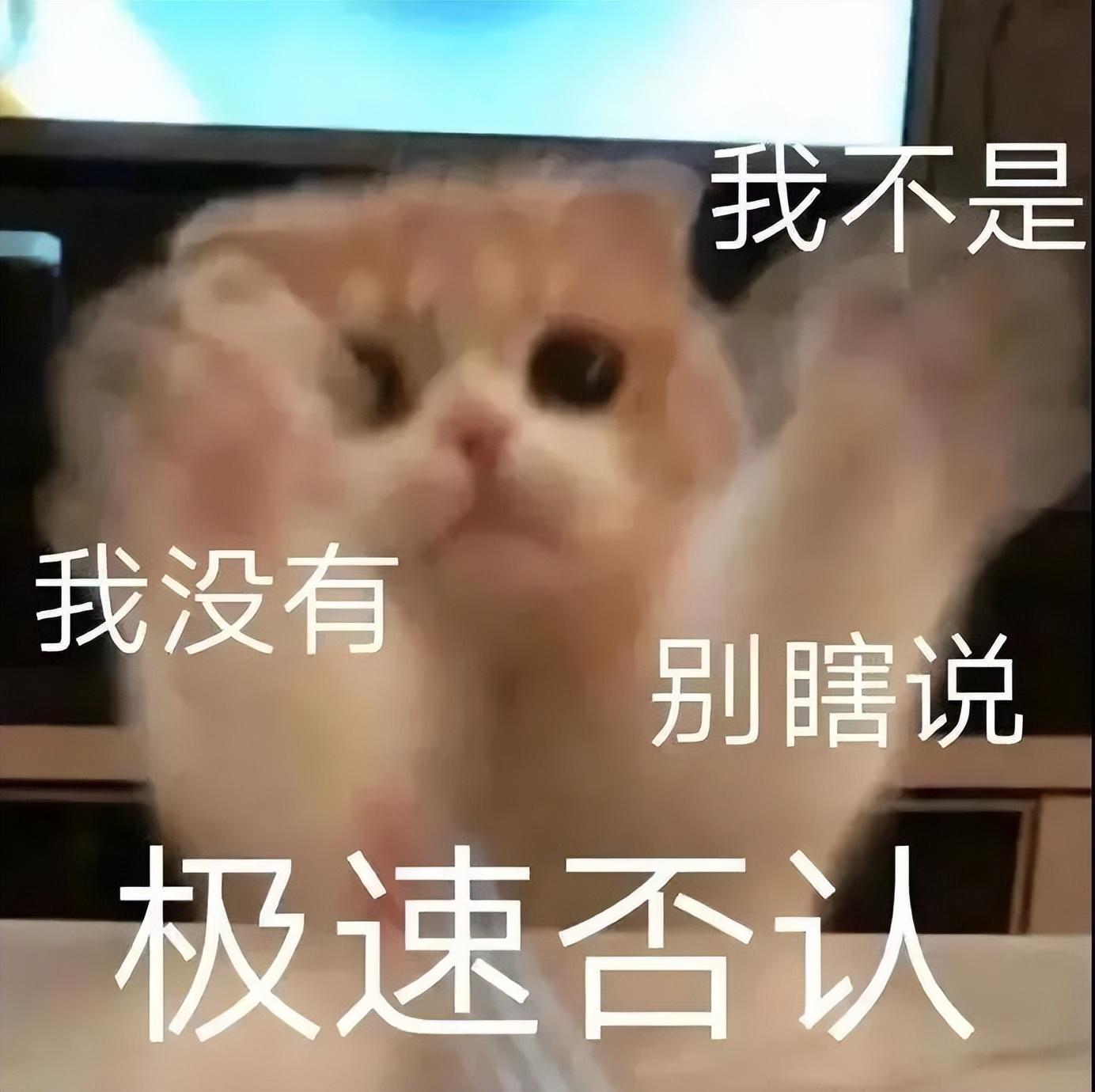 好看的表情包(10000种表情包图片大全)