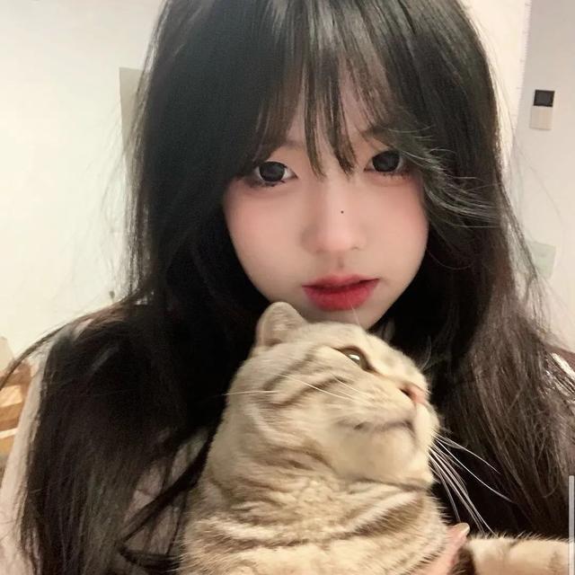 猫系女孩，微信头像，猫系女孩（女生头像：抱猫头像）