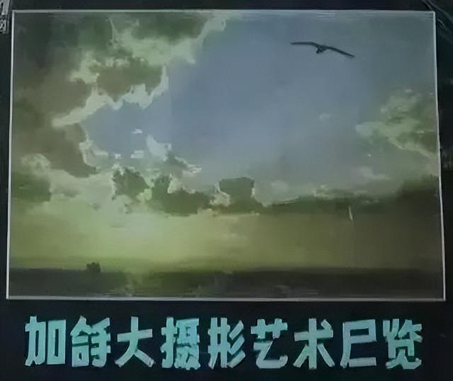 闫和阎有什么区别，阎和闫的区别是什么（这些汉字用了几十年）