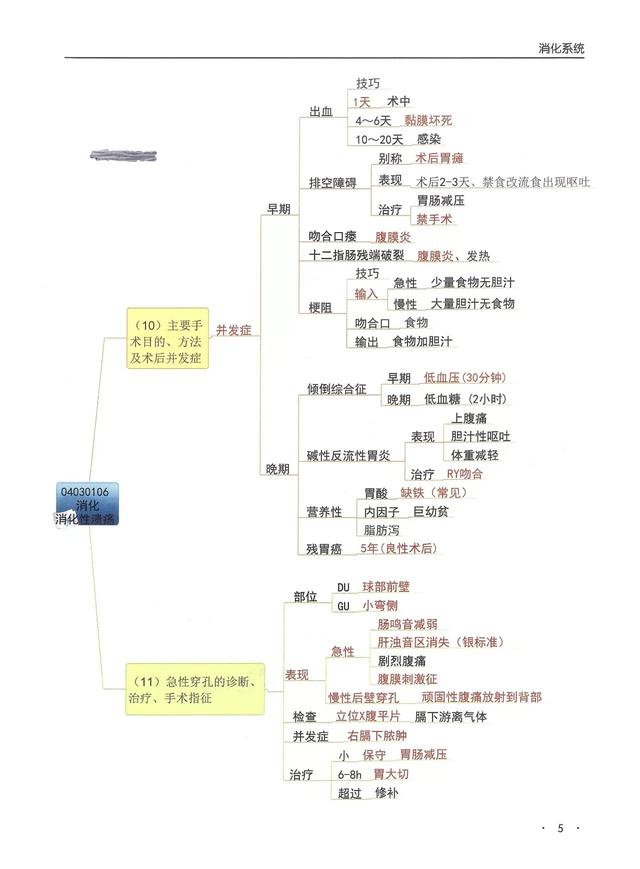 消化系统思维导图，人体消化系统部分知识的思维导图（临床专业消化系统——思维导图）