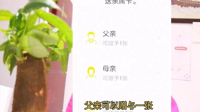 新微信号怎样开通微信支付，新微信号怎样开通微信支付码（微信里没有零钱未绑银行卡）