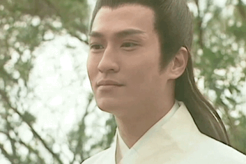 穆桂英挂帅大破天门阵，穆桂英大破天门阵发生在哪（一部反派魅力远超主角的剧）