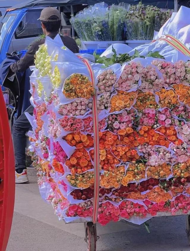 云南最好吃的野生菌在哪，中国最浪漫城市非她莫属