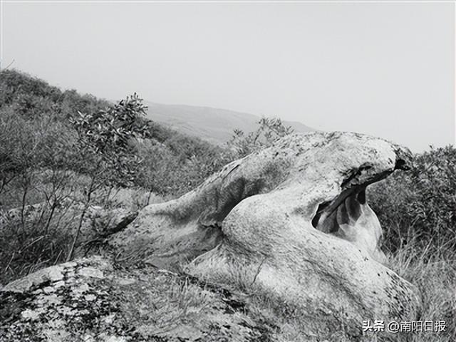 了解古代文明遗迹有什么意义，了解古代文明遗迹有什么意义和价值（南阳远古文明遗址遗迹的历史定位及时代价值）