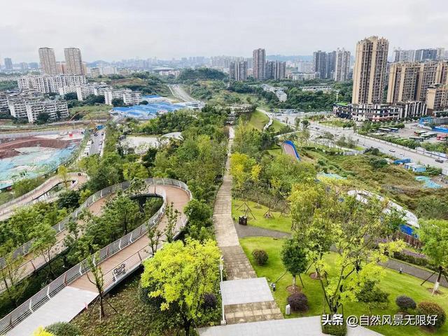 秋天的花朵怎么画，儿童画秋天的花朵（秋天的画）