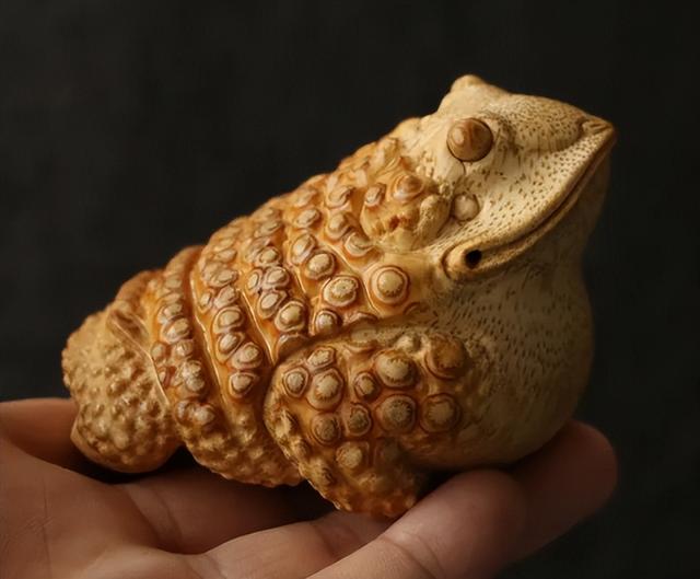 青蛙抱对意思是什么，青蛙抱对是在干什么（癞蛤蟆为何常抱在鲤鱼身上）