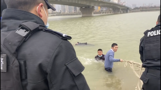 先进事迹怎么写，员工先进事迹怎么写（忠诚履职为平安——勉县公安局巡特警大队李靖同志先进事迹）