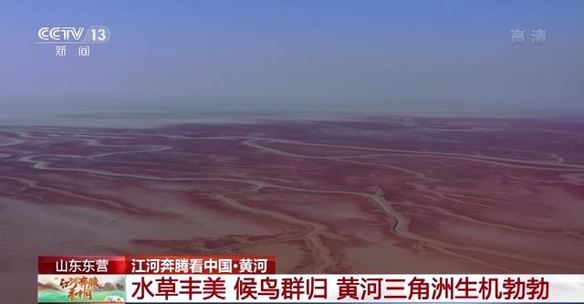 一个平方等于多少米，一平方米等于100米对吗（江河奔腾看中国丨全方位呈现）