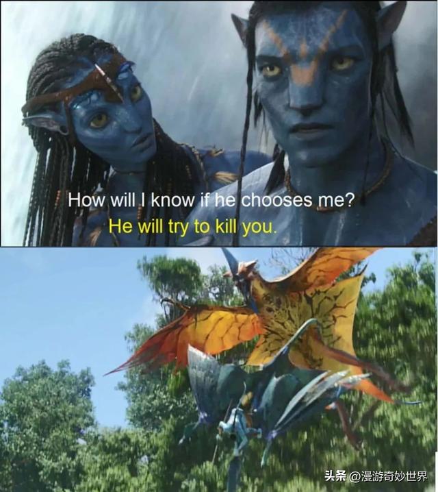 美国国旗上有多少颗星星，美国国旗有多少颗星星（还有这么多你不知道的细节…）