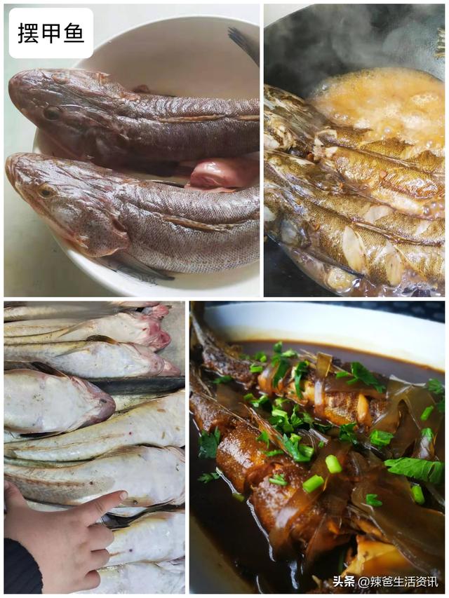 40种“好吃不贵”的野生海鱼（上），附：价格和吃法，请收藏
