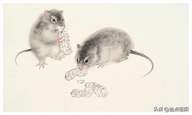 动物分为哪六大类，1000个动物名字（排列到底是按照什么顺序排列的）