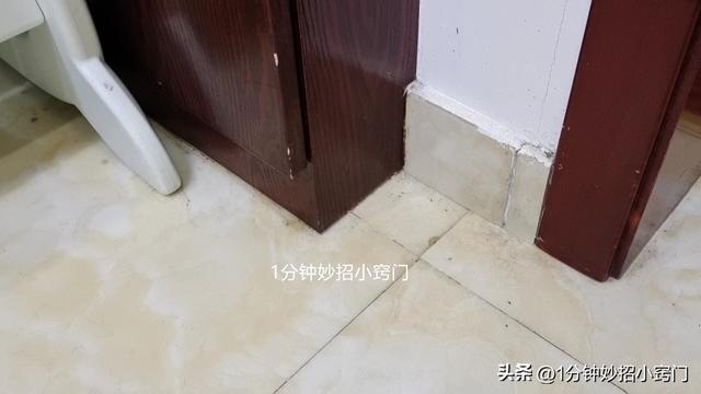 蚂蚁怎么能彻底消灭，花盆里蚂蚁怎么能彻底消灭（家里的蚂蚁连窝端）