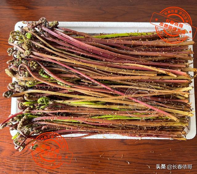 东北野生野菜有哪些，长白山中山野菜——猴子腿