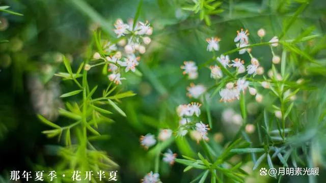 外汇理财产品怎么买，外汇理财产品怎么买卖（外汇的投资方法有哪些）