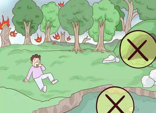 关于保护森林的一段话，关于保护森林的一段话总结（森林防灭火丨森林防火）