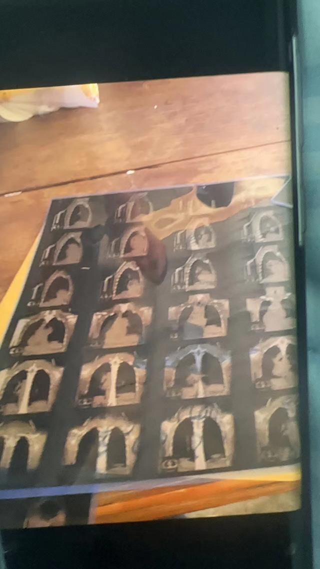 柬埔寨血奴事件，柬埔寨血奴事件发生原因（90后福建女子柬埔寨遭性侵殴打）