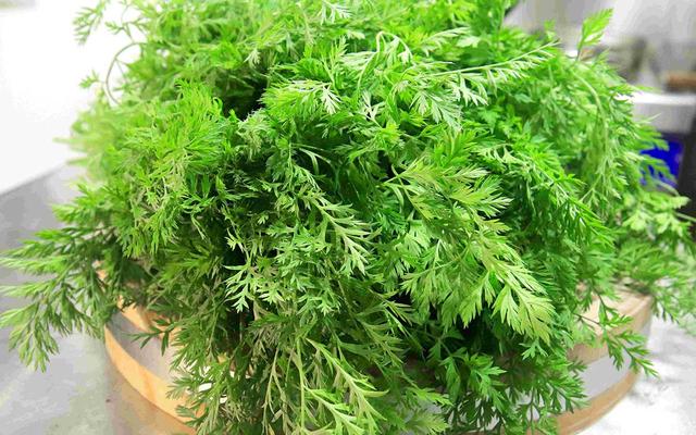 菠菜和什么菜搭配是最佳，菠菜十种最佳吃法（把全家老小钙都补足了）