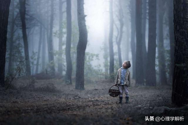 独生子女的好处，独生子女的好处和坏处（心理学：独生子女特点总结）