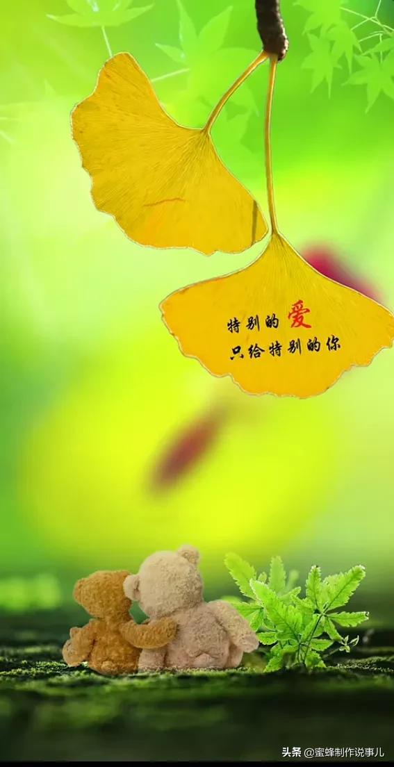 蓝天白云彩虹,鲜花树叶,非常唯美有意境.