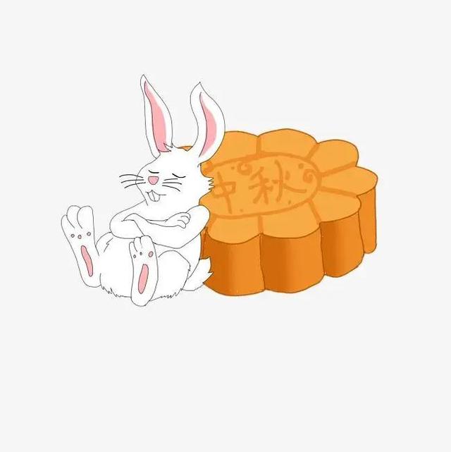 周记主要写什么，周记主要写的是什么（第二周周记佳作欣赏<二>）