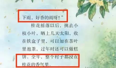 琦君，上好统编五上第三课《桂花雨》（琦君）