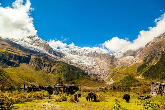 雨崩村海拔是多少，雨崩村海拔（喂马劈柴的“旷世桃源”）