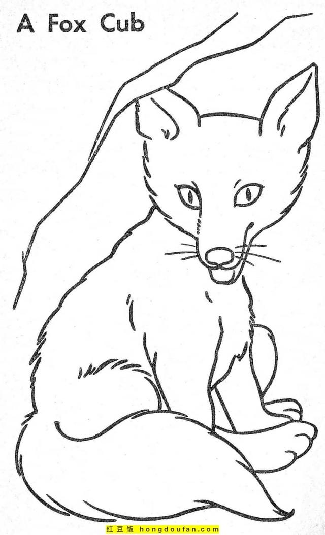 可爱的狐狸,可爱的狐狸头像动漫(8张萌萌哒可爱小狐狸卡通儿童简笔画图片) 可爱的狐狸,可爱的狐狸头像动漫(8张萌萌哒可爱小狐狸卡通儿童简笔画图片)