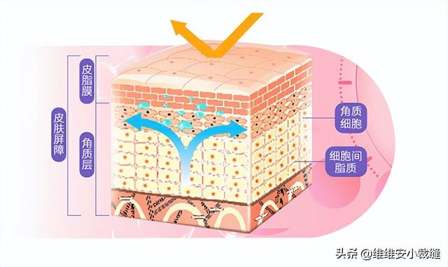 夏天如何护肤，夏天如何护肤美白（分享我的夏天护肤心得）