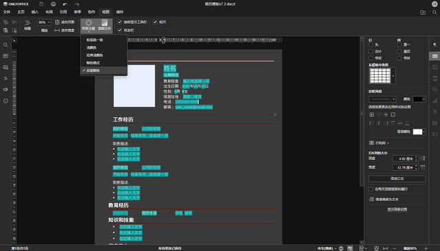 ipad版office，微软office如何免费用（OnlyOffice协作办公软件使用体验）