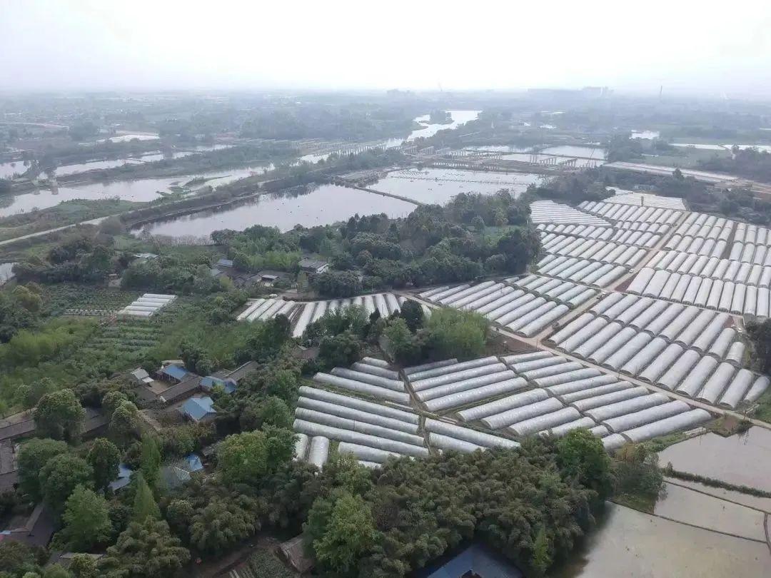 农业投资项目(特色农业种植项目介绍)