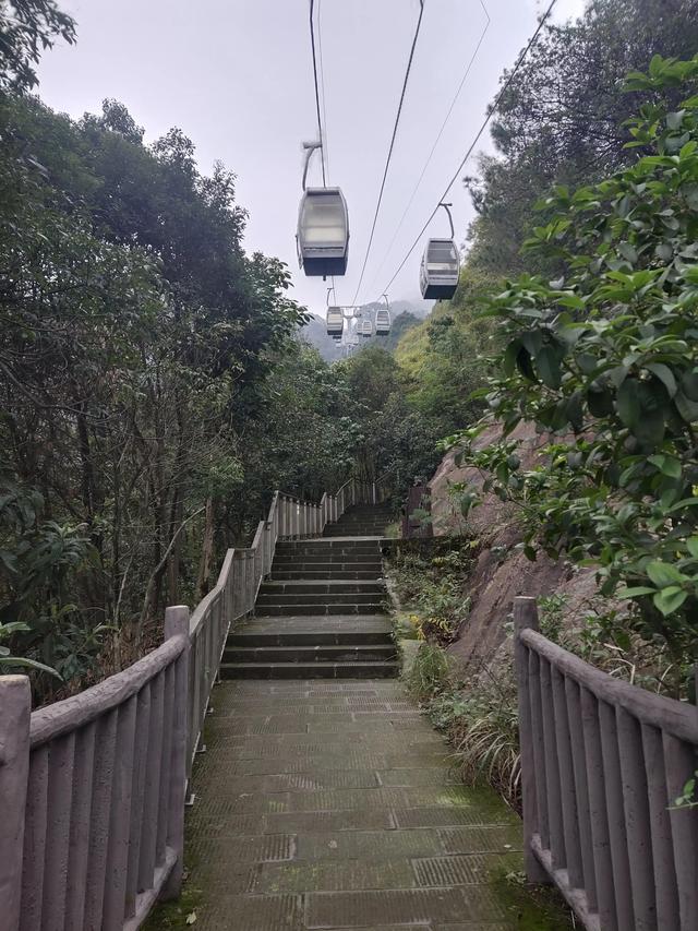 歌乐山森林公园，重庆旅游必去景点（歌乐山国家森林公园）