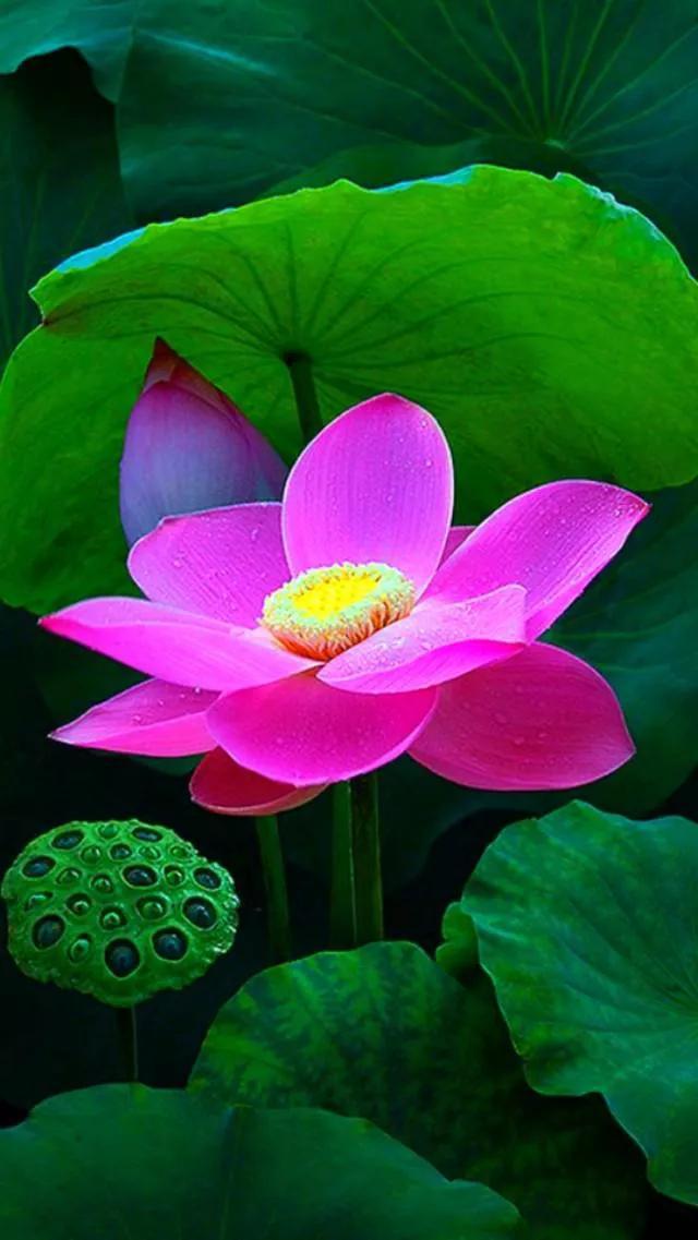 情侣网名简单干净，简单的四字情侣网名  不负情深°| 不离久伴°（你是我此生最牵挂的人）